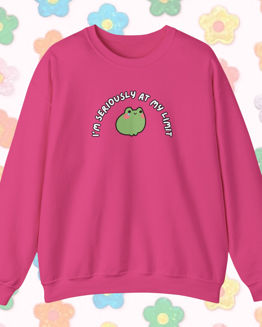 I'm Seriously At My Limit printed sweatshirt - Tired Girl Apparel