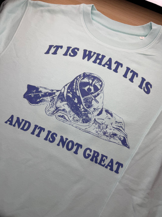 CLEARANCE It Is What It Is crewneck sweatshirt - Tired Girl Apparel