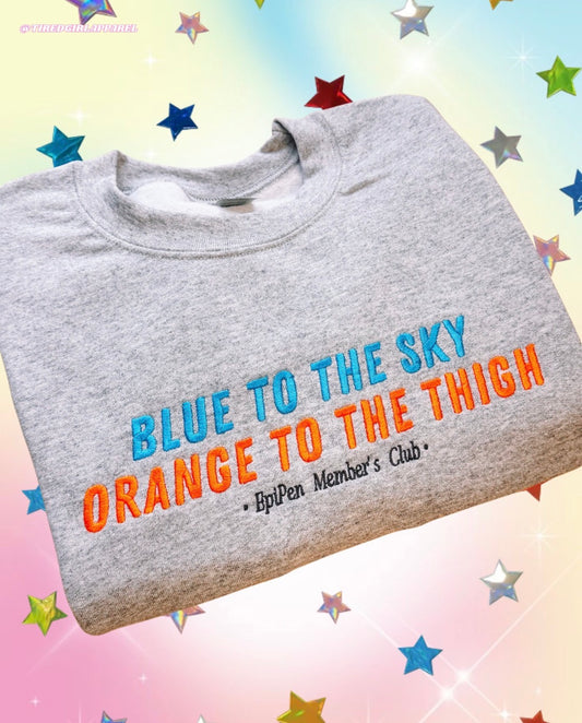 Blue To The Sky, Orange To The Thigh embroidered sweatshirt