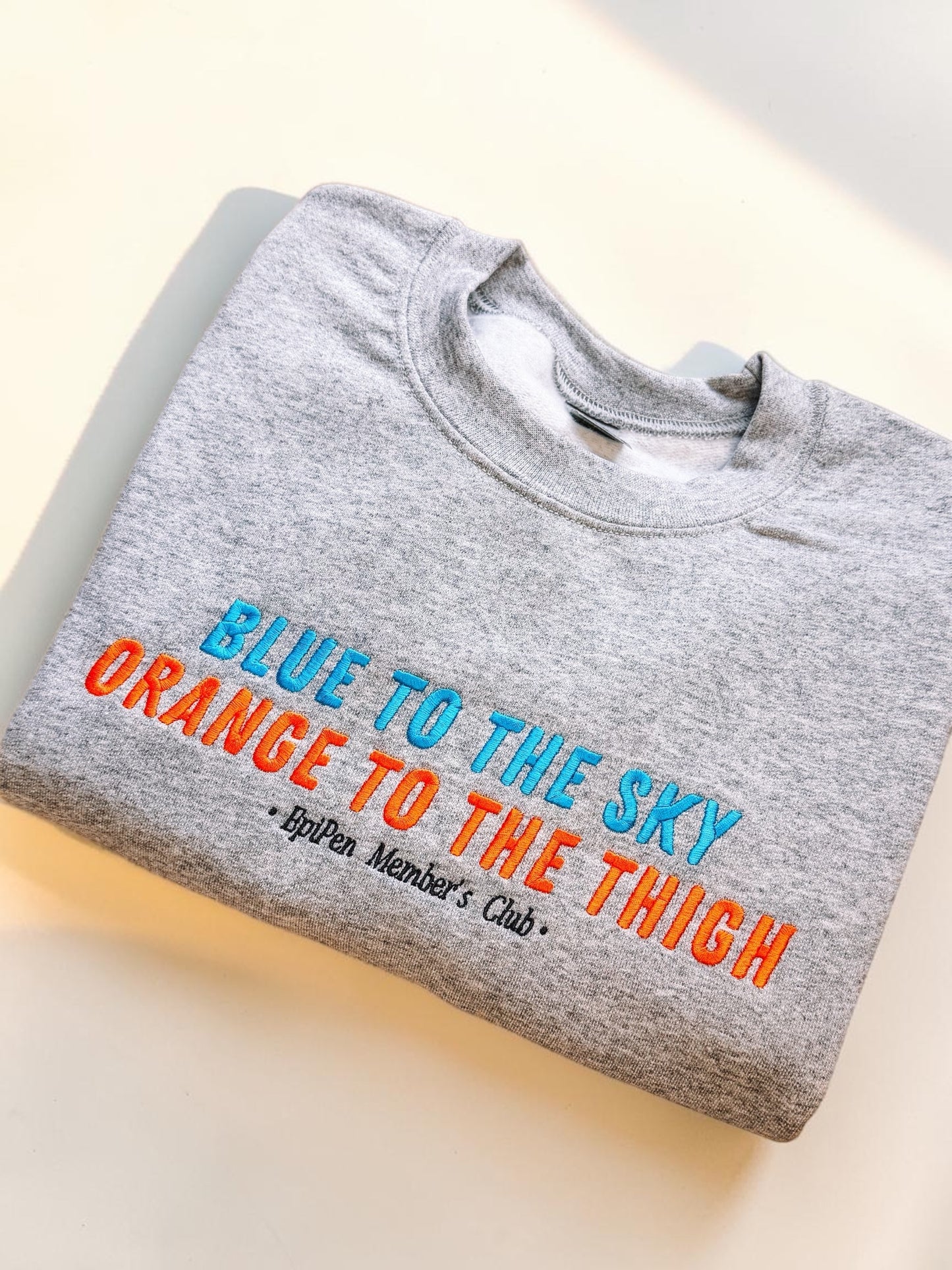 Blue To The Sky, Orange To The Thigh embroidered sweatshirt