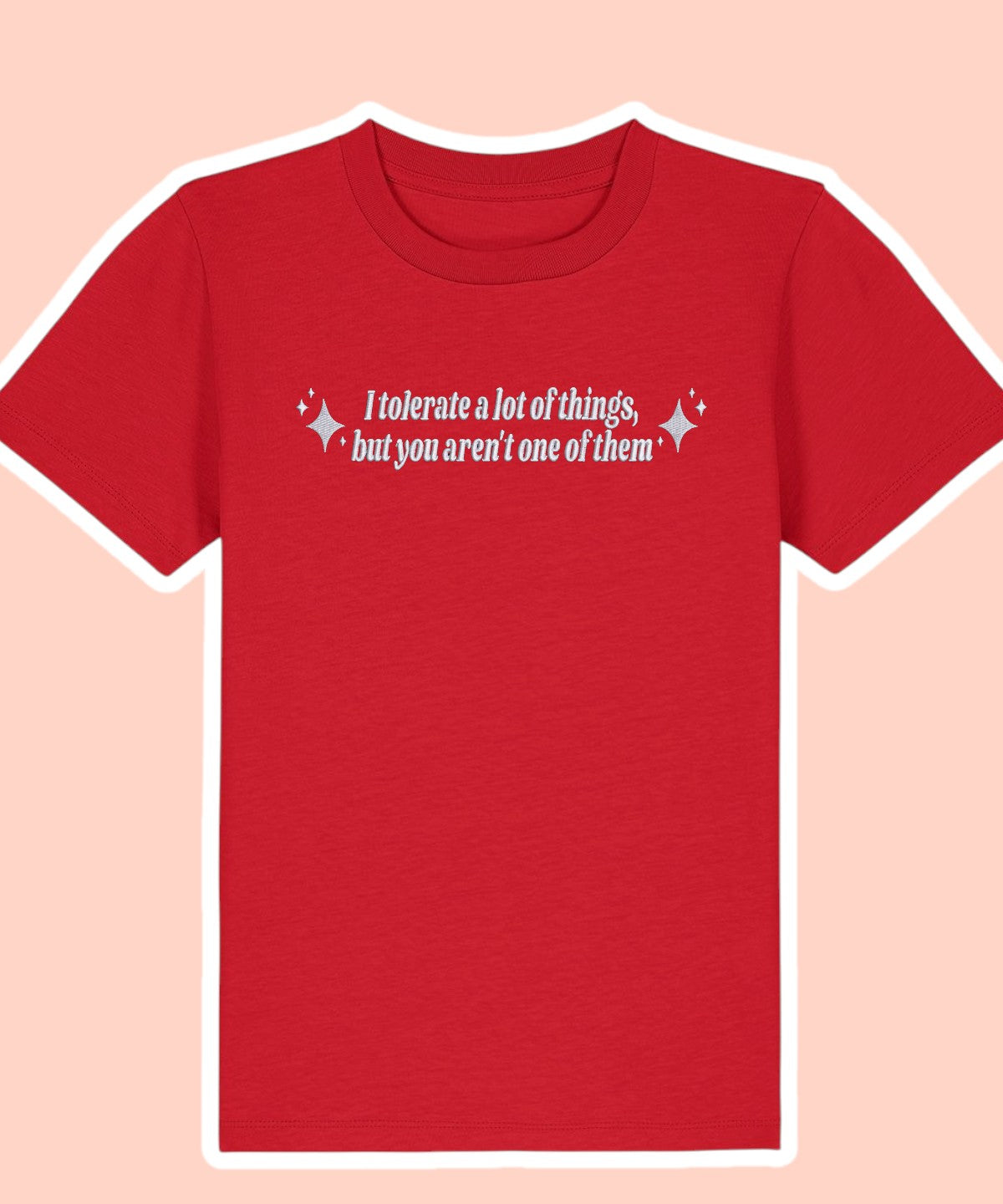 I Tolerate A Lot Of Things, But You Aren't One Of Them embroidered t-shirt