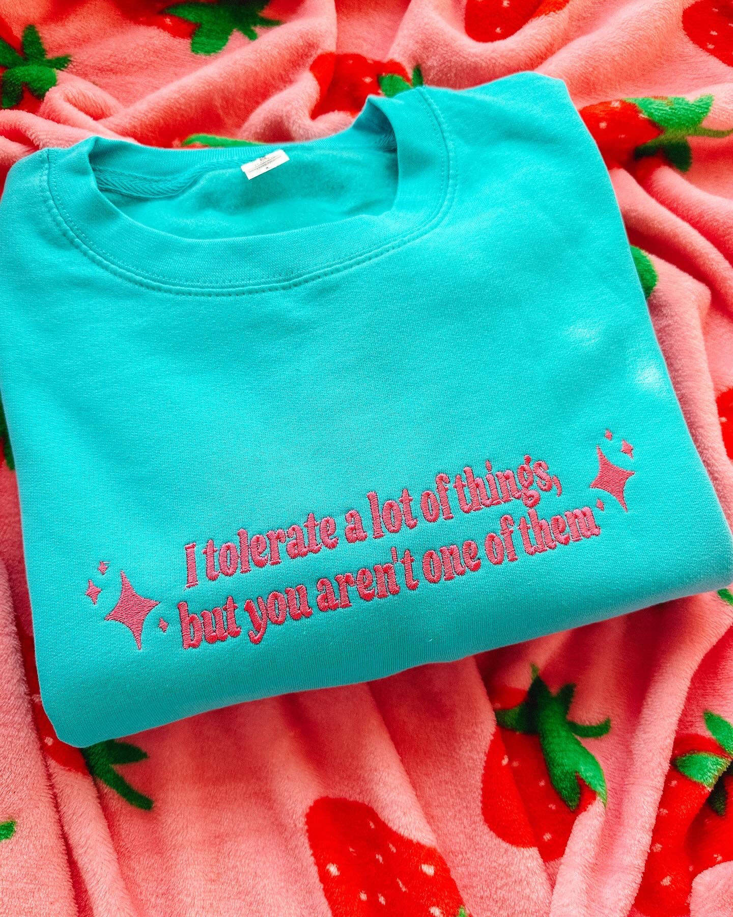 I Tolerate A Lot Of Things, But You Aren't One Of Them embroidered crewneck sweatshirt - Tired Girl Apparel
